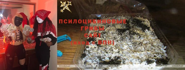 прущий лед Вязники