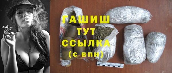 индика Володарск
